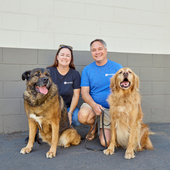 Dogs of Miramar Automotive & Transmission Dogs of Miramar Automotive & Transmission
